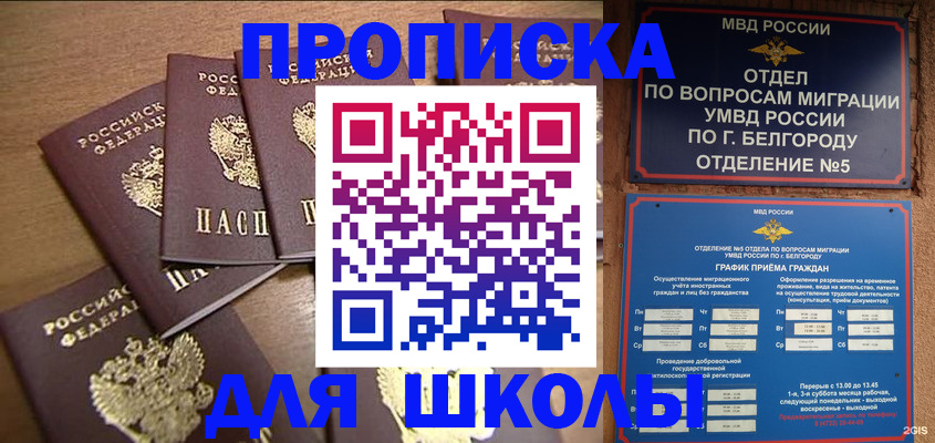 прописка гарантия в Оленегорске